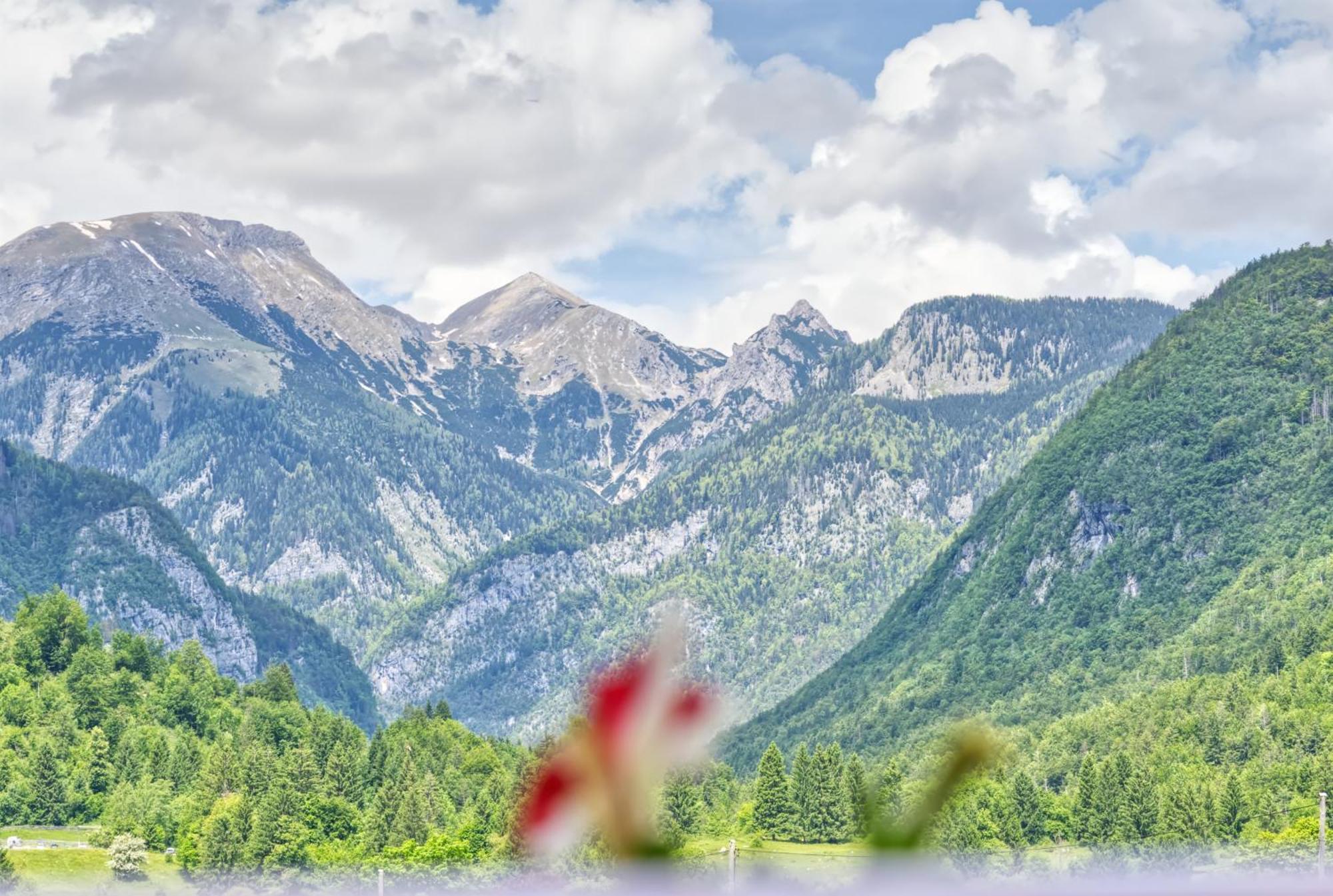Apartments Kovacic Bohinj Eksteriør bilde