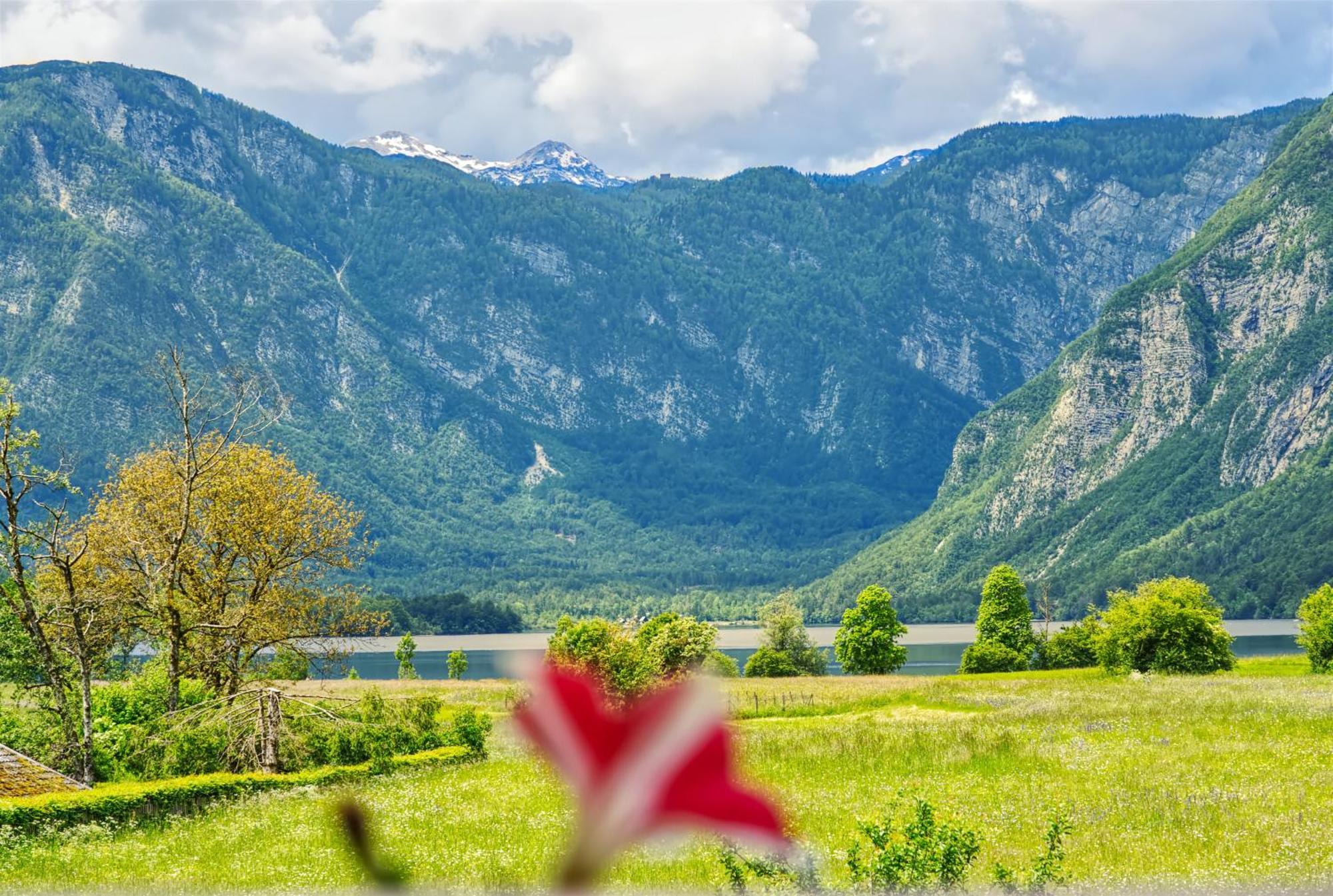 Apartments Kovacic Bohinj Eksteriør bilde